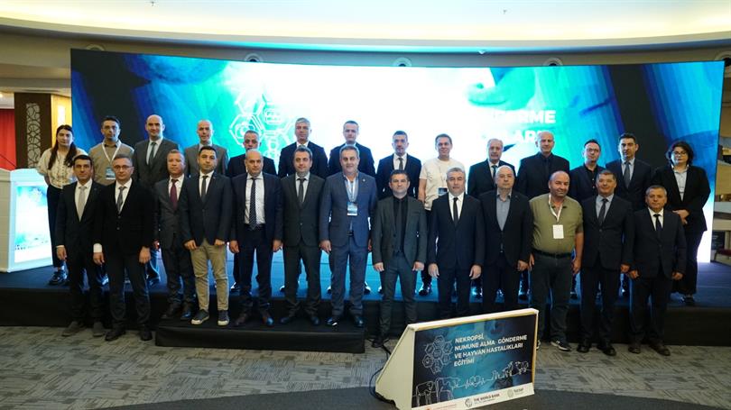 Nekropsi, Numune Alma-Gönderme ve Hayvan Hastalıkları Eğitimini