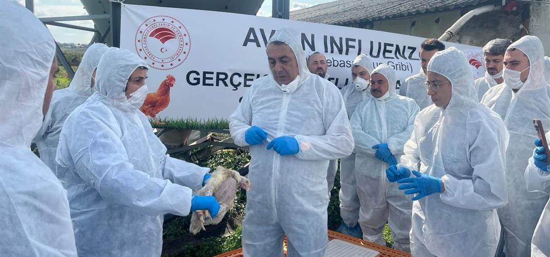 Gerçek Boyutlu Kuş Gribi Tatbikatı çalışmalarımız