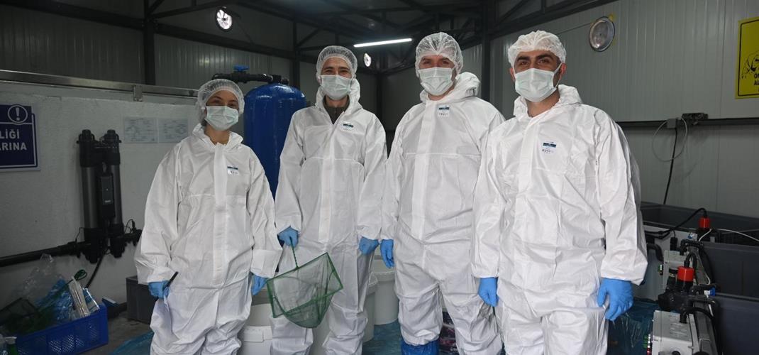 Levrek Balıklarında Vibriozis ve Fotobakteriyozise Karşı GMP Standartlarında Kombine Aşı Geliştirilmesi ve Deneysel Challenge ile Koruyuculuk Düzeyinin Belirlenmesi