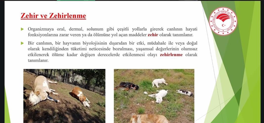 Zehirlenme Vakalarında Numune Alma ve Gönderme Eğitimi