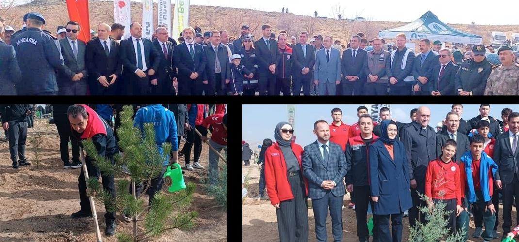 MİLLİ AĞAÇLANDIRMA GÜNÜ