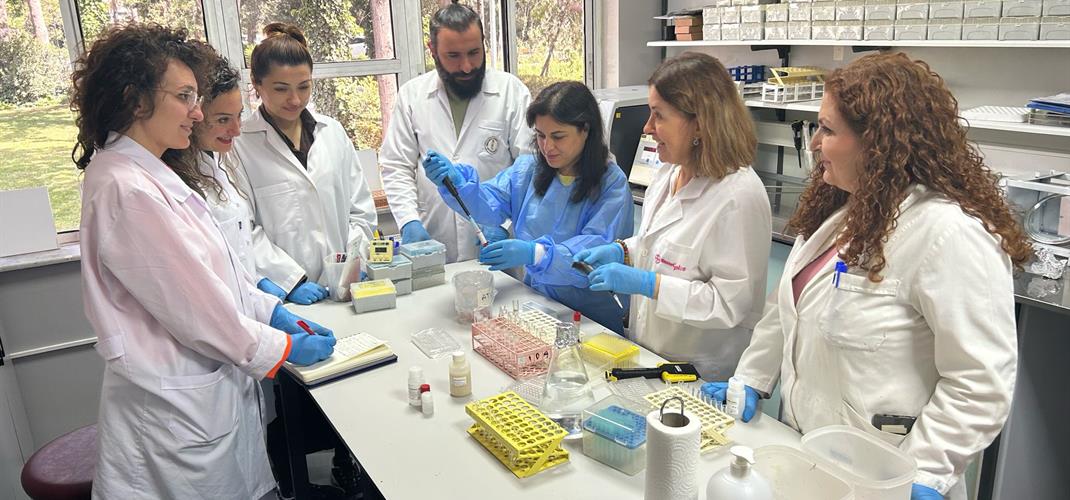 Bruselloz Teşhisi ve Analiz Yöntemleri Eğitimi 